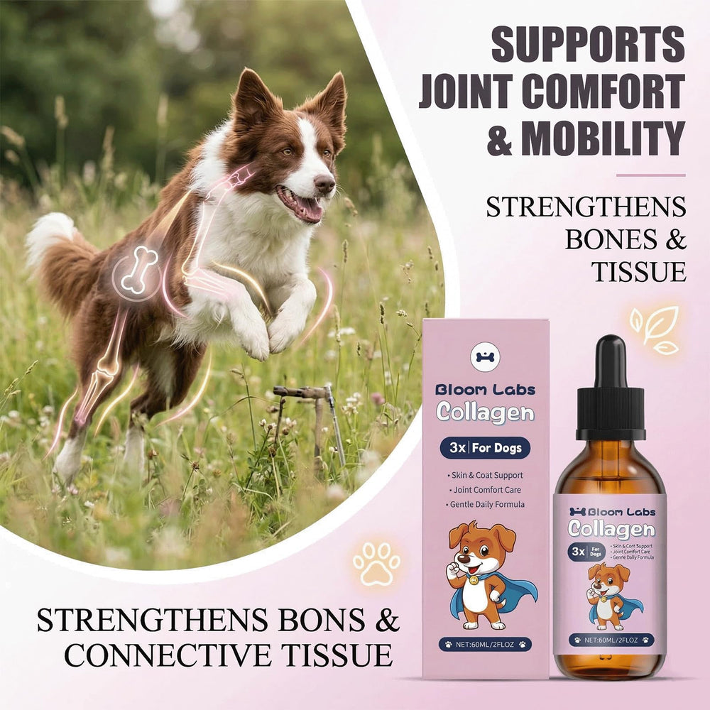 Bloom Labs clean ingredients with no artificial flavors or preservatives.