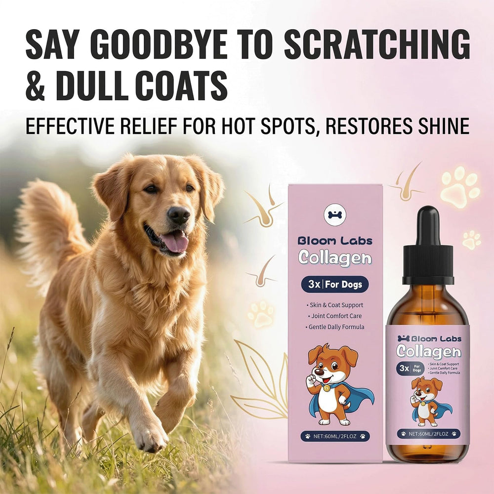 Bloom Labs easy-pump bottle supports quick, hygienic dog collagen dosing.