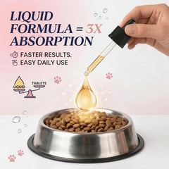 Bloom Labs hydrolyzed collagen for dogs supports faster absorption.
