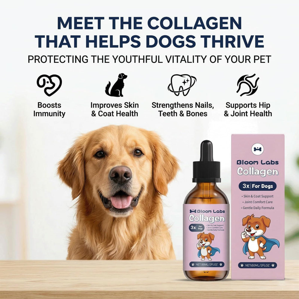 Bloom Labs triple collagen for dogs bottle pour highlights easy administration and pleasant flavor.