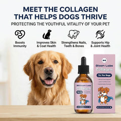Bloom Labs triple collagen for dogs bottle pour highlights easy administration and pleasant flavor.