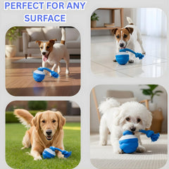 Bloompaw durable pet-safe materials ensure safe, long-lasting use.