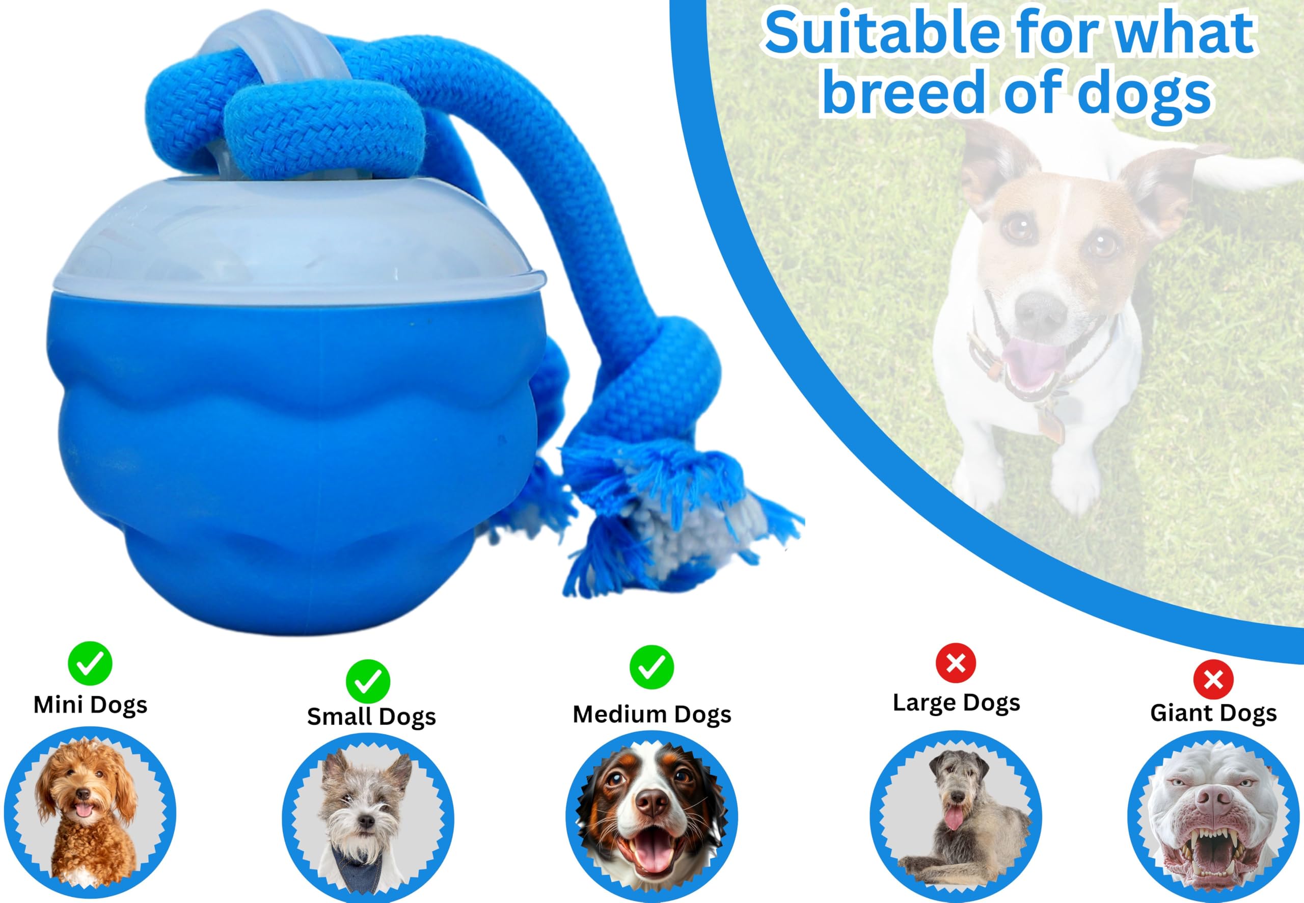 Bloompaw USB rechargeable battery enables extended play sessions.