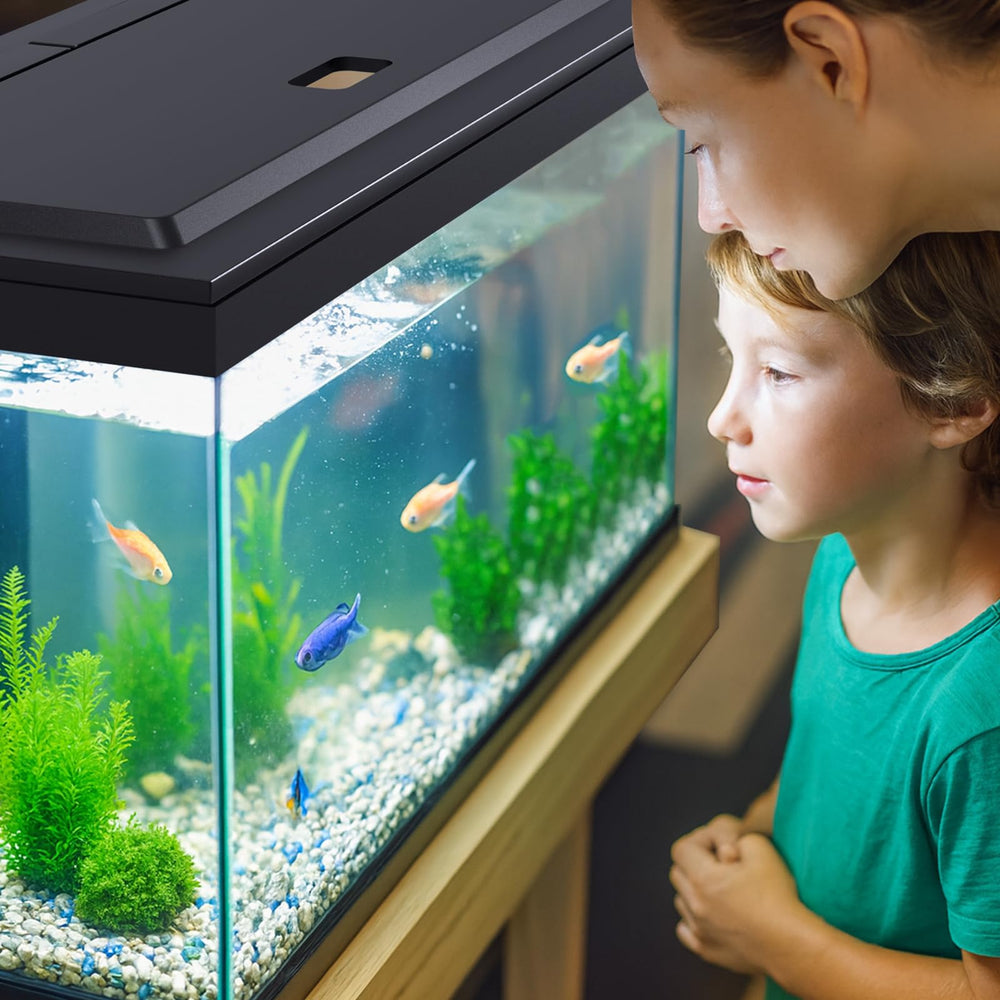 Blosail includes connectors and power adapter for quick flexible installation.