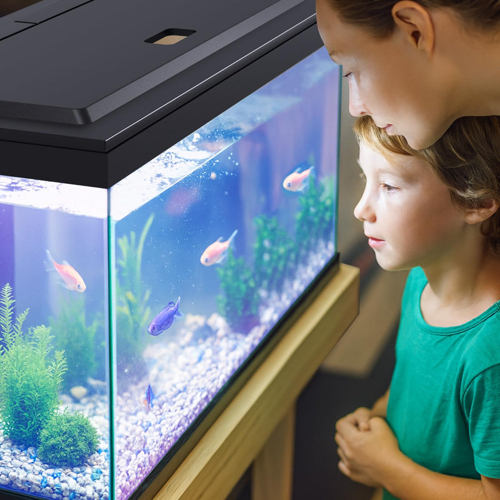 Power adapter and connectors included for a clean, adaptable installation.