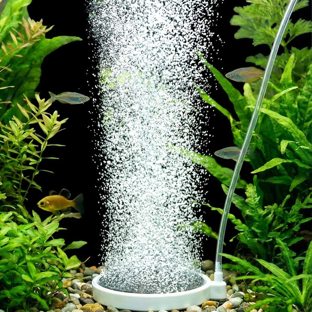 BLOTFISH 3.2 inch diffuser for 20-70 gallon tanks boosts oxygen transfer