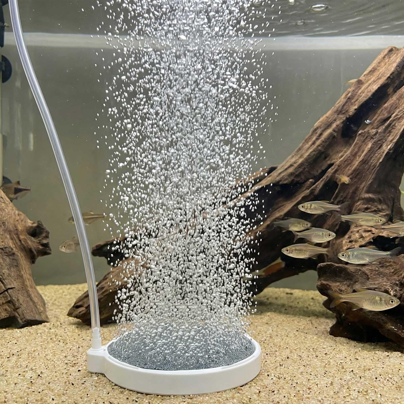 BLOTFISH control valve to adjust bubble density for better airflow