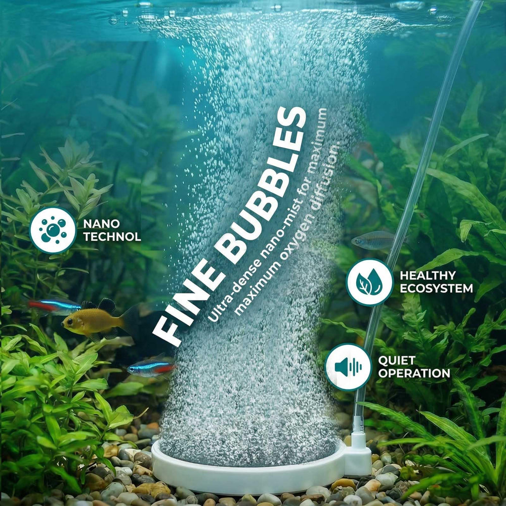 BLOTFISH dirt resistant stone provides durable aeration in aquariums