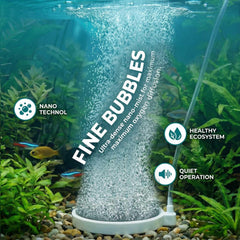 BLOTFISH dirt resistant stone provides durable aeration in aquariums
