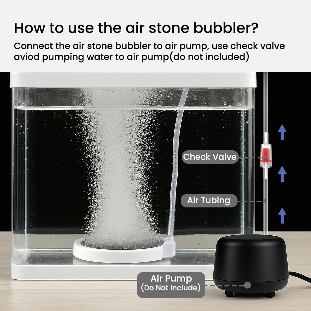BLOTFISH suction cups secure the bubbler for stable setup