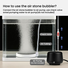 BLOTFISH suction cups secure the bubbler for stable setup
