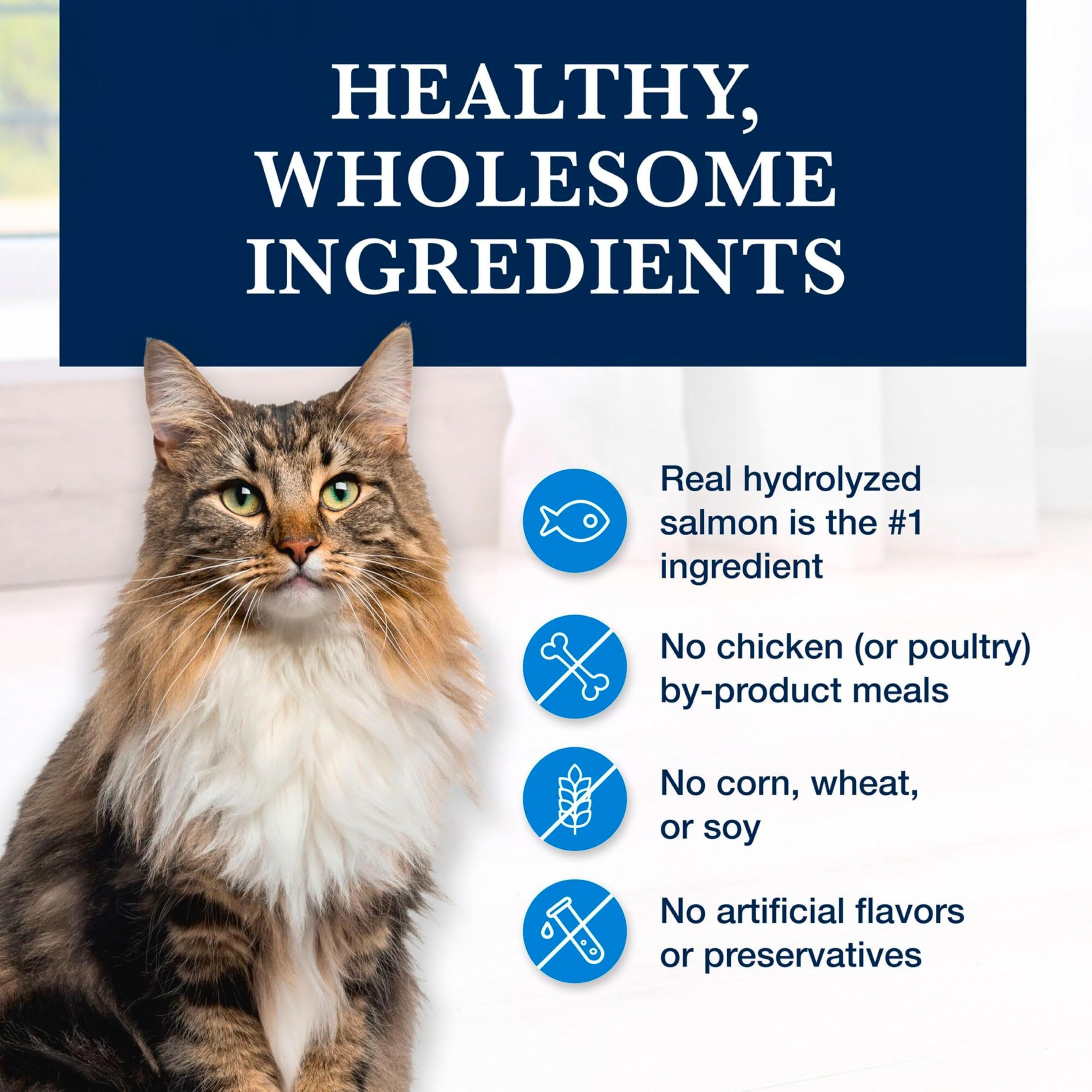 Blue Buffalo antioxidants may support immune health and well-being