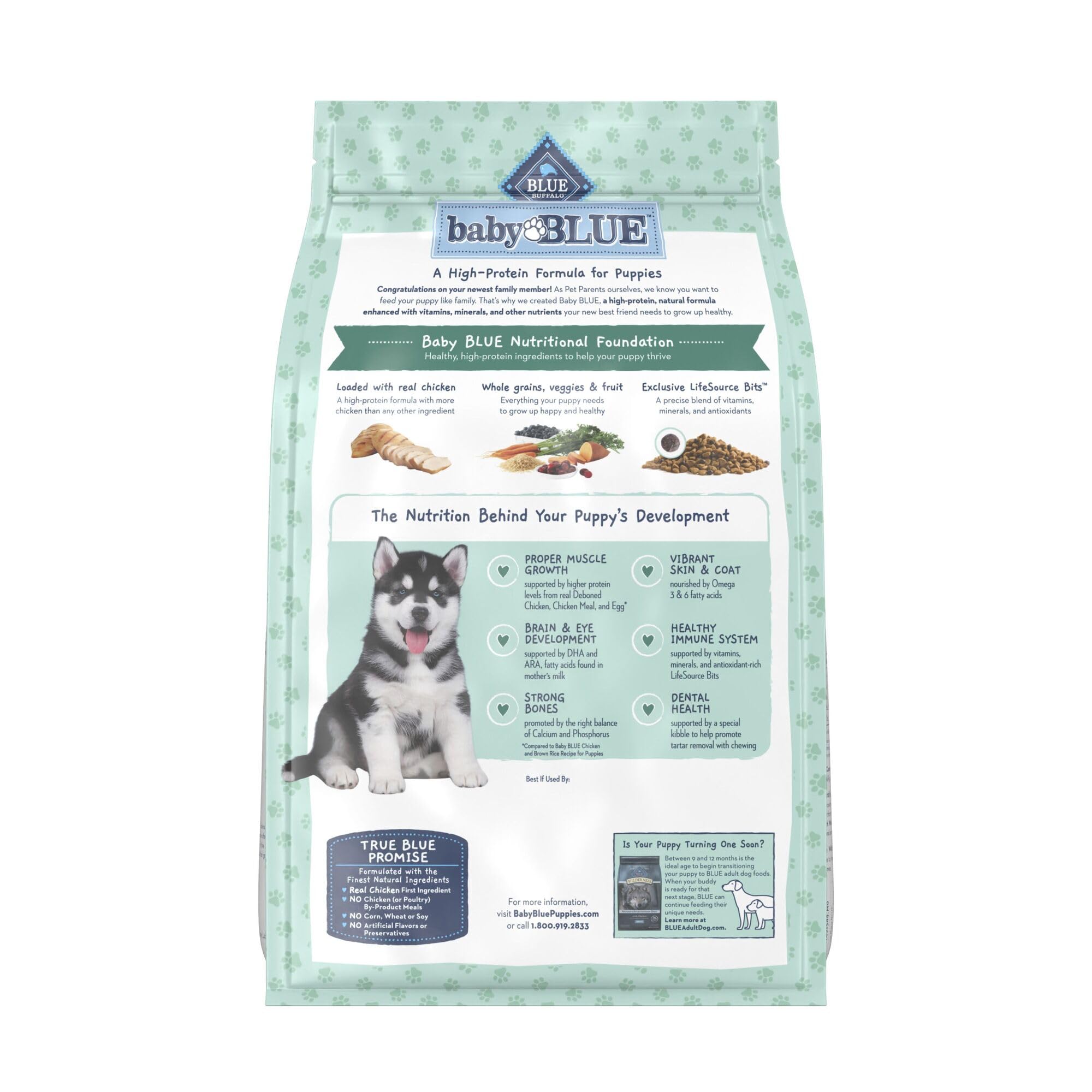 Blue Buffalo Baby BLUE puppy food serving bowl with kibble for daily energy