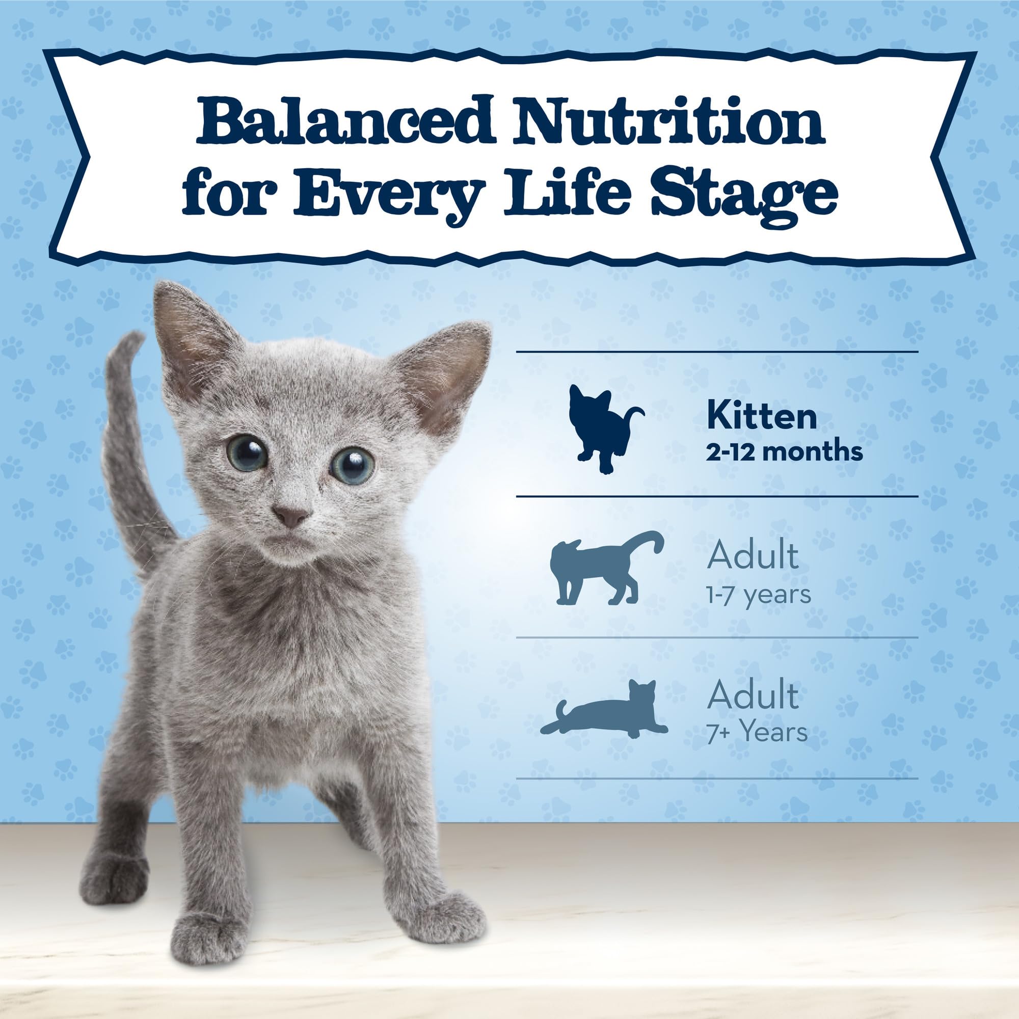 Blue Buffalo Baby BLUE growth and play scene suggesting kitten energy