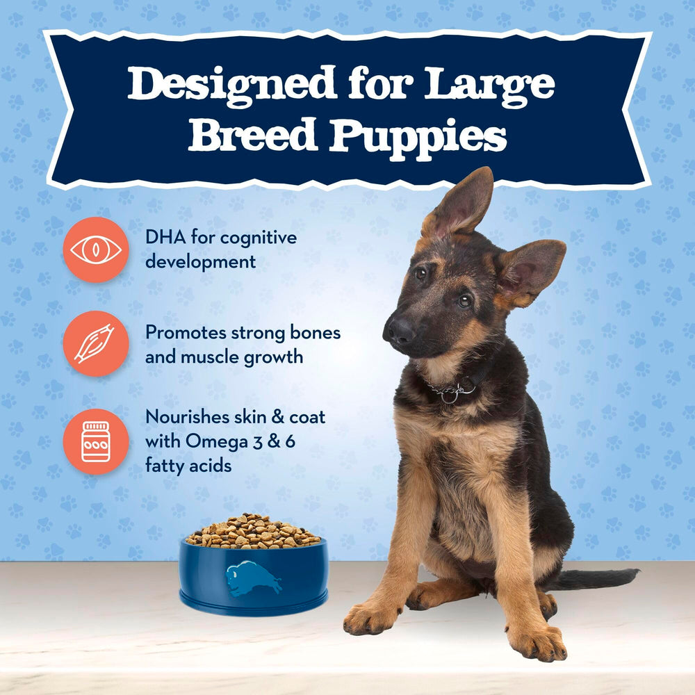 Blue Buffalo Baby BLUE large-breed puppy kibble close-up showcasing high-protein formula.