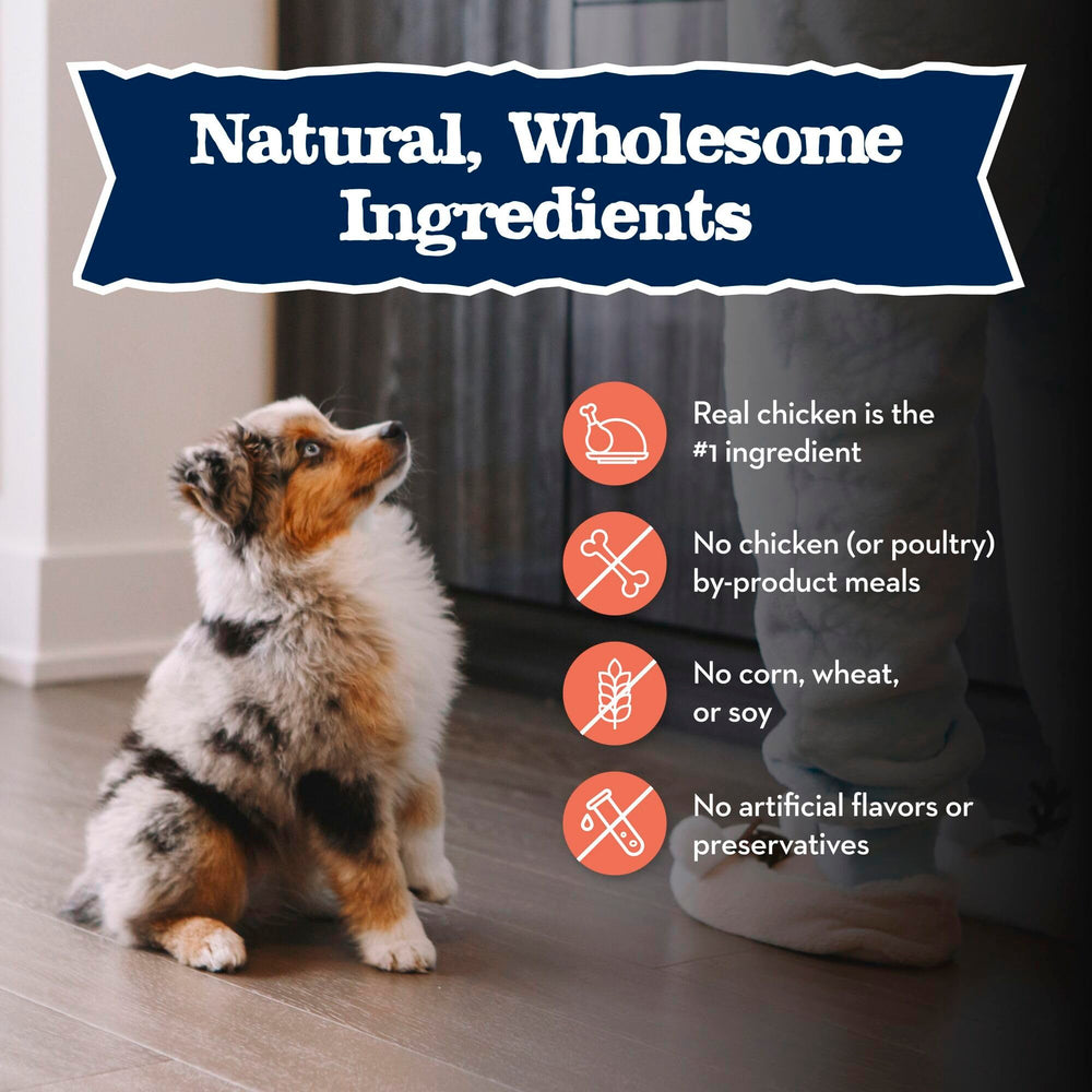 Blue Buffalo Baby BLUE LifeSource Bits antioxidants note on immune support.