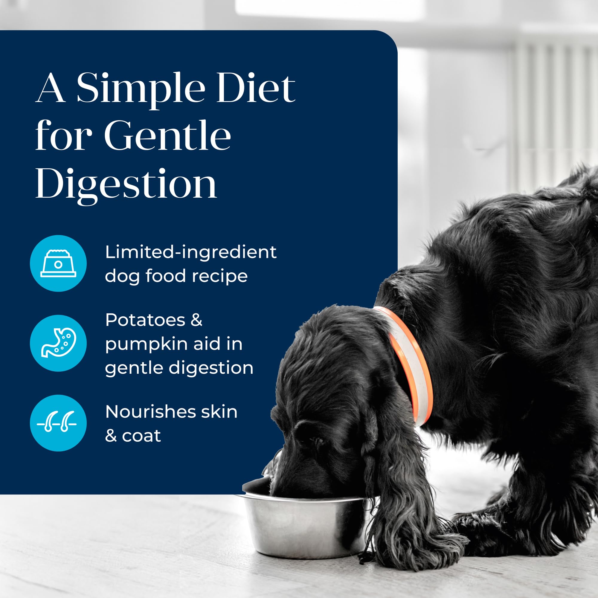 Blue Buffalo Basics grain-free wet food close-up emphasizing grain-free formula