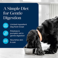 Blue Buffalo Basics grain-free wet food close-up emphasizing grain-free formula
