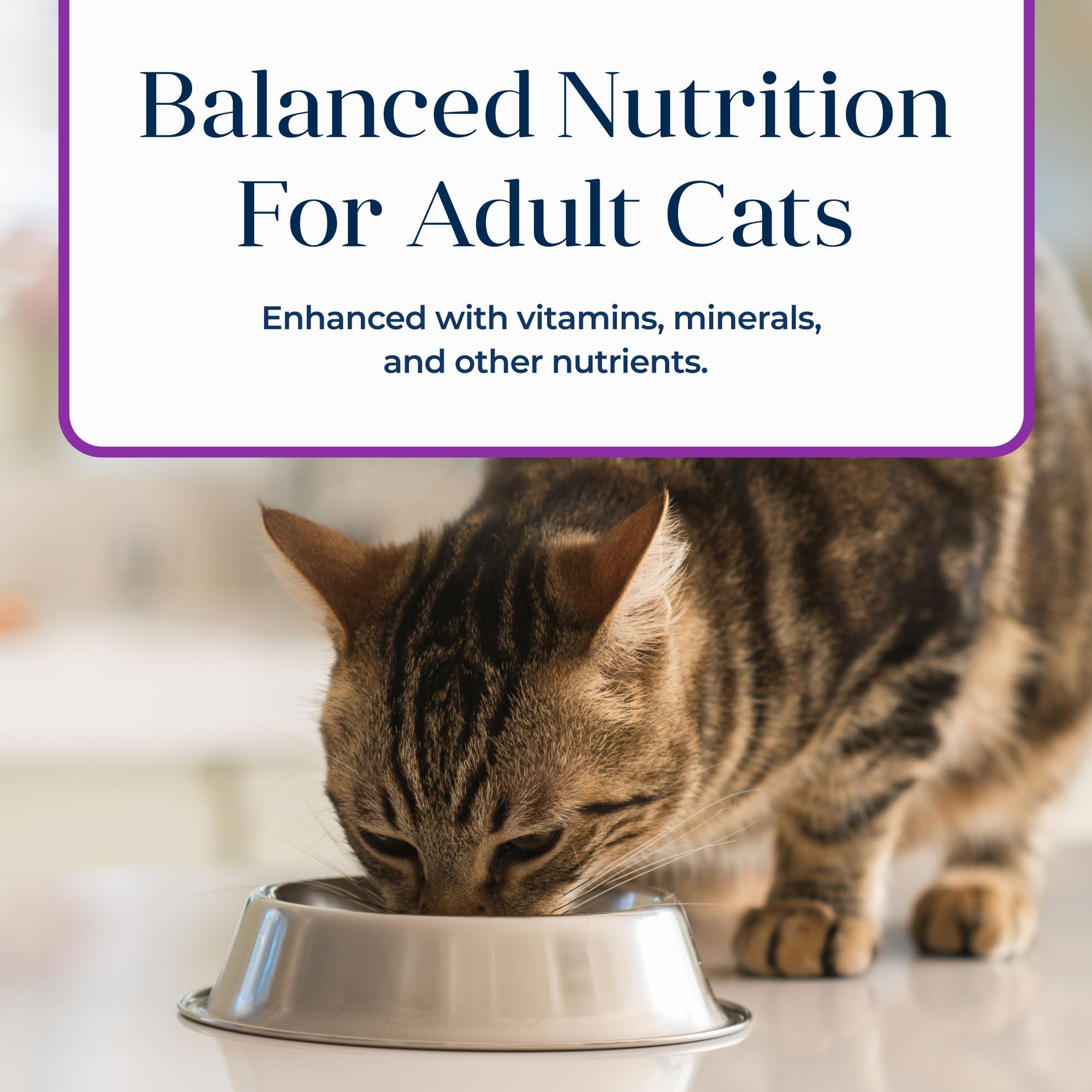 Indoor cat nutrition from Blue Buffalo Basics for daily care.