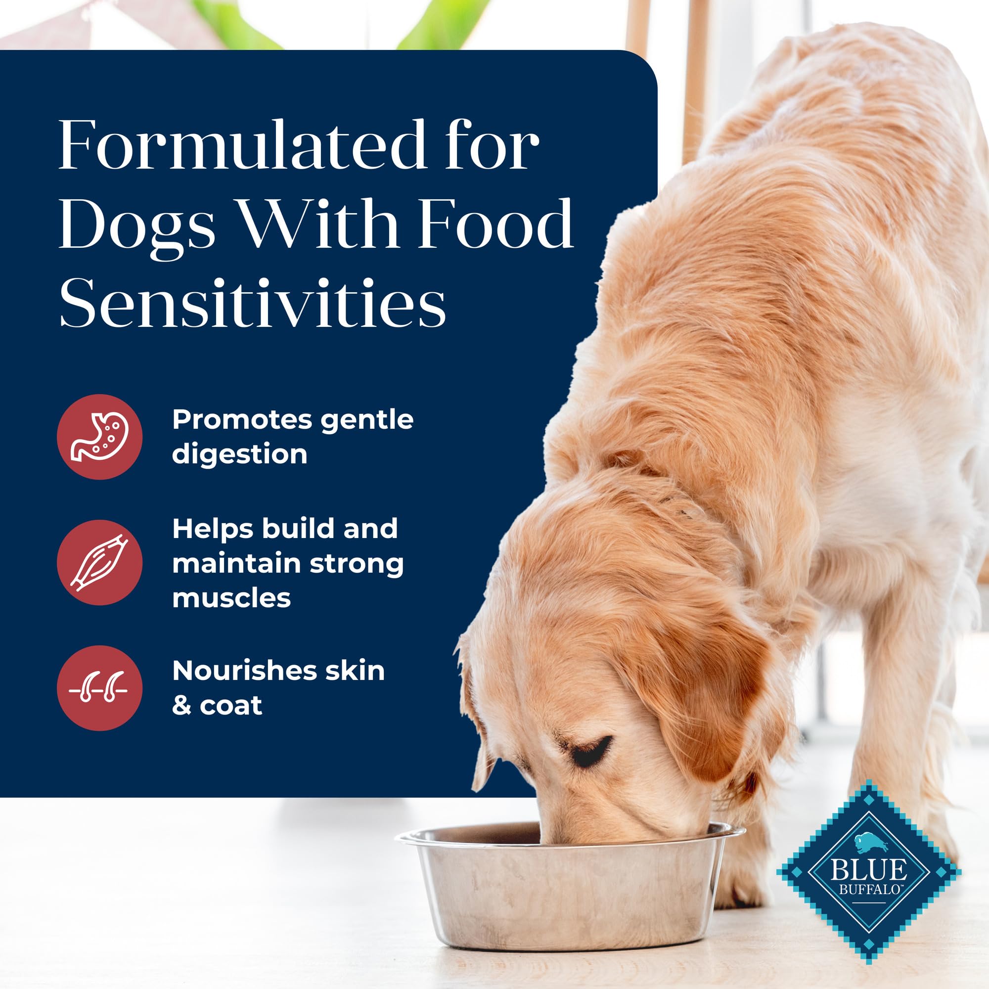 Blue Buffalo Basics LifeSource Bits antioxidants shown for immune support.