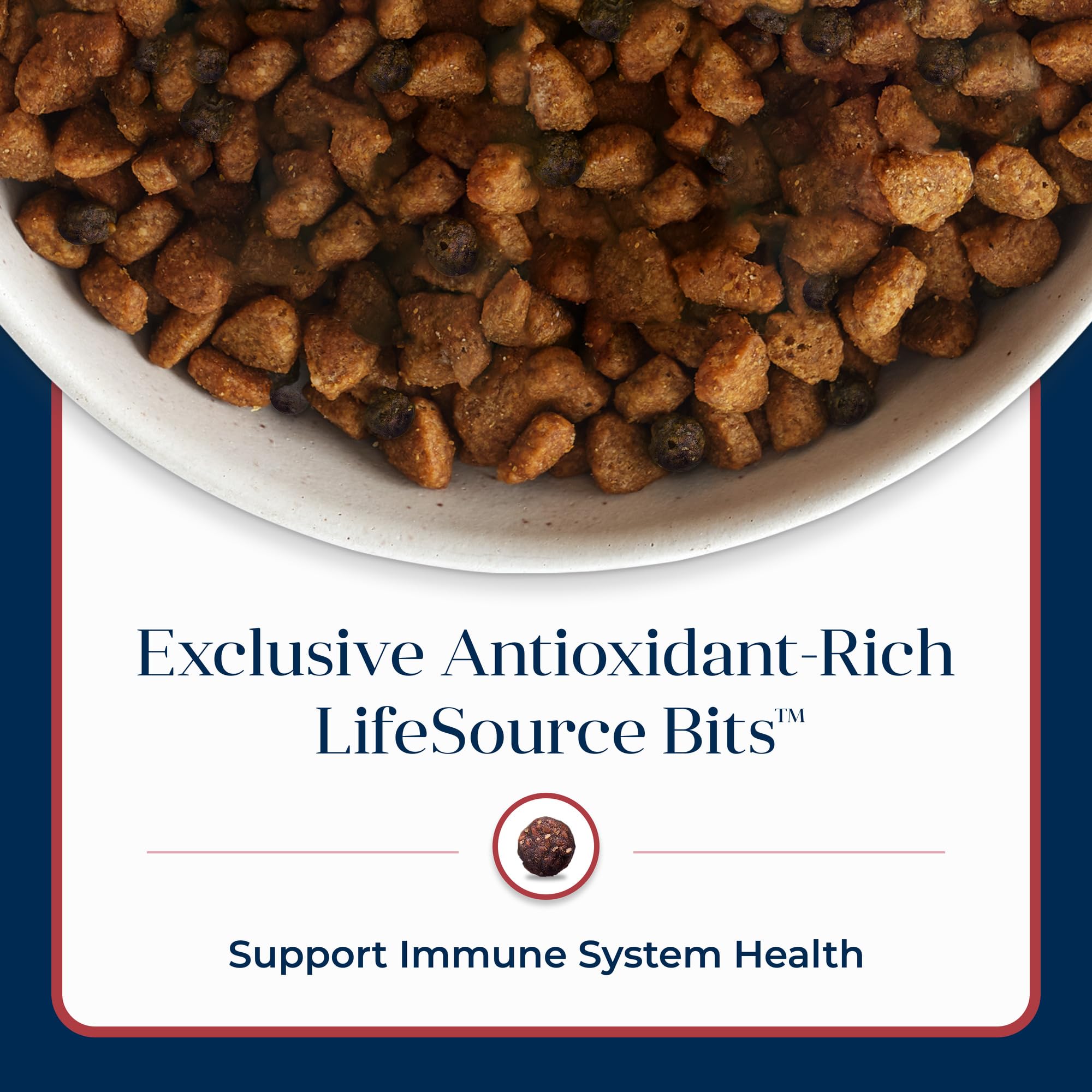 Blue Buffalo Basics no corn, wheat, or soy supports sensitive digestion.