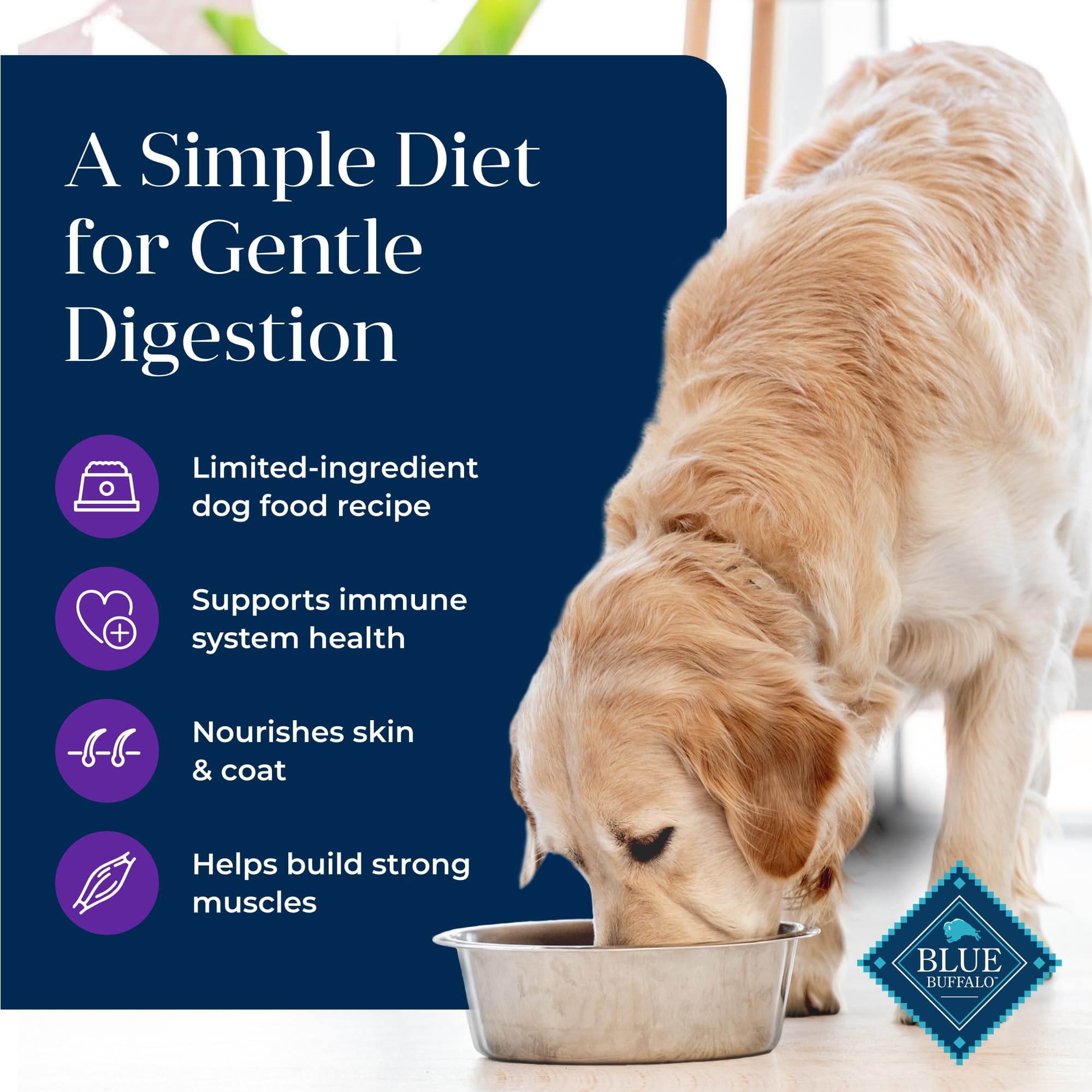 Omega 3 & 6 profile promoting healthy skin and coat shine