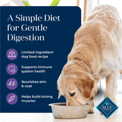 Omega-3 and -6 support for healthy skin and coat in Blue Buffalo Basics