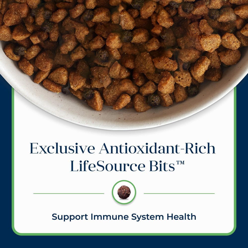 Blue Buffalo Basics deboned lamb first ingredient supports protein-rich recipes