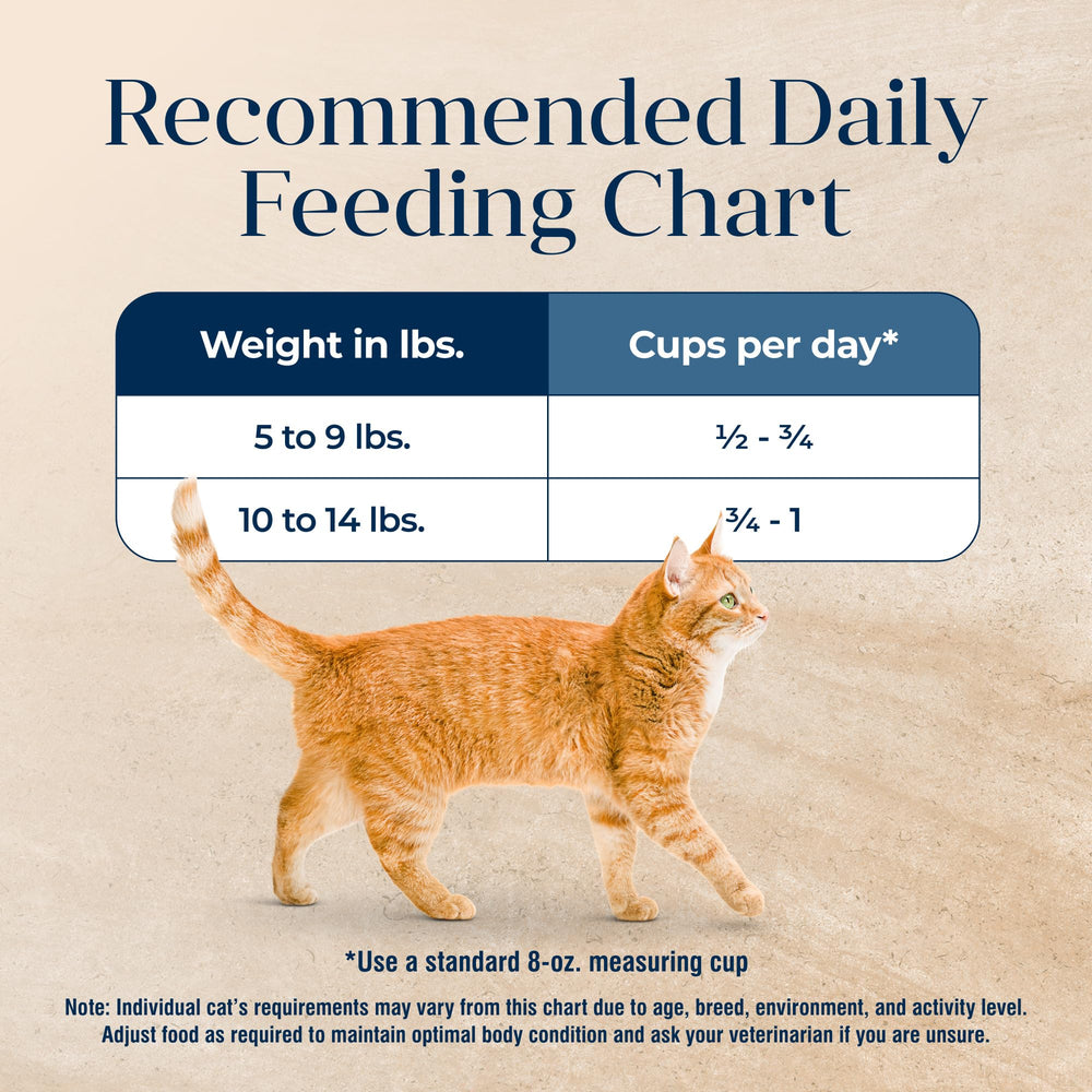 Packaged 11-lb bag designed for easy storage and indoor cat feeding