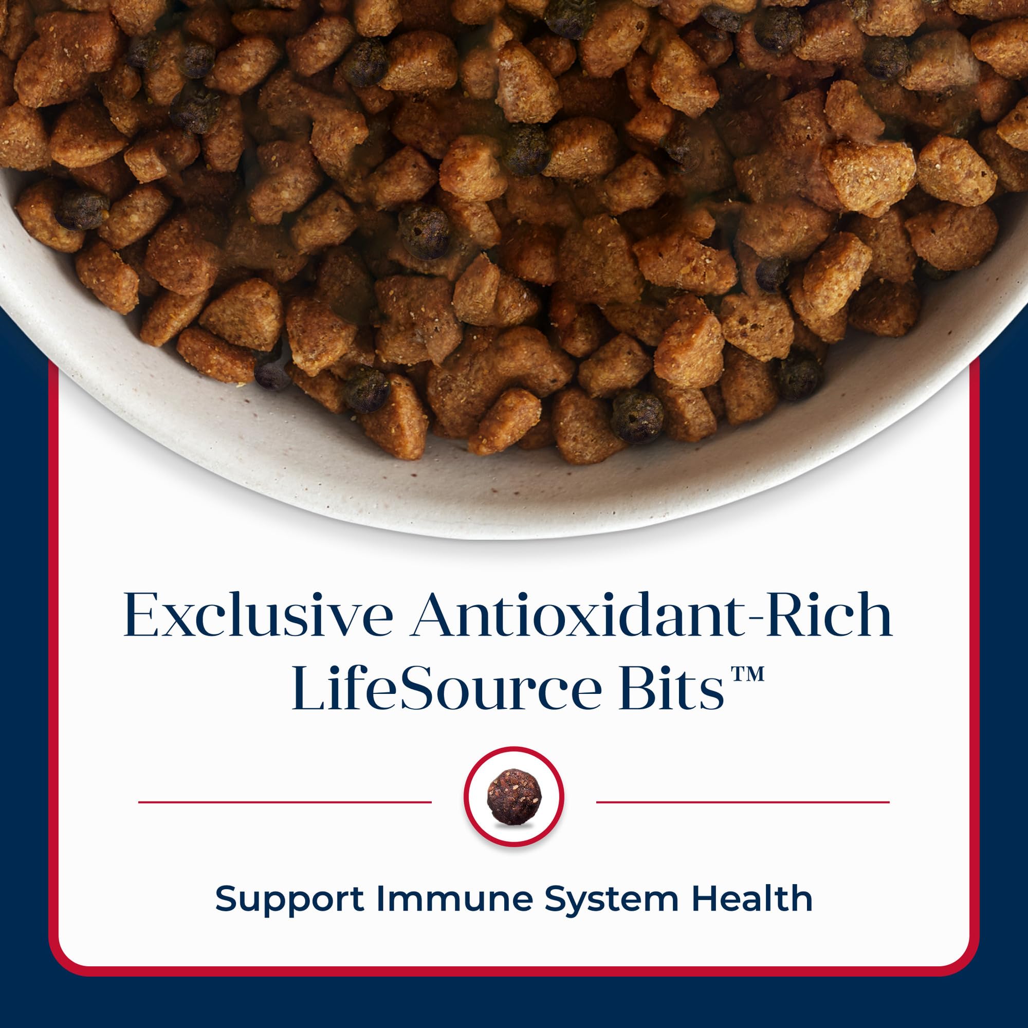 Blue Buffalo Basics Salmon and Potato ingredients list supports balanced nutrition.