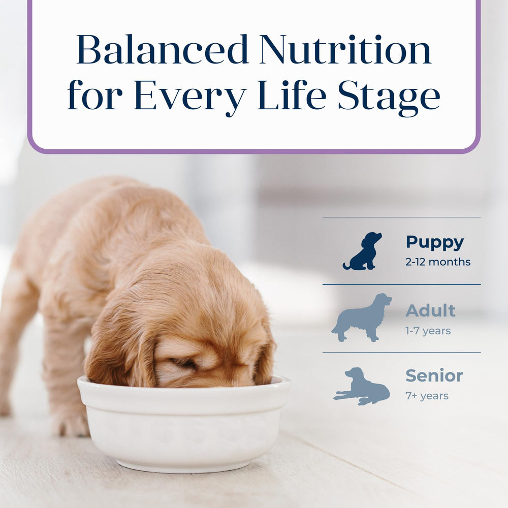 Blue Buffalo Basics Turkey & Potato puppy recipe supports gentle digestion and muscle development.