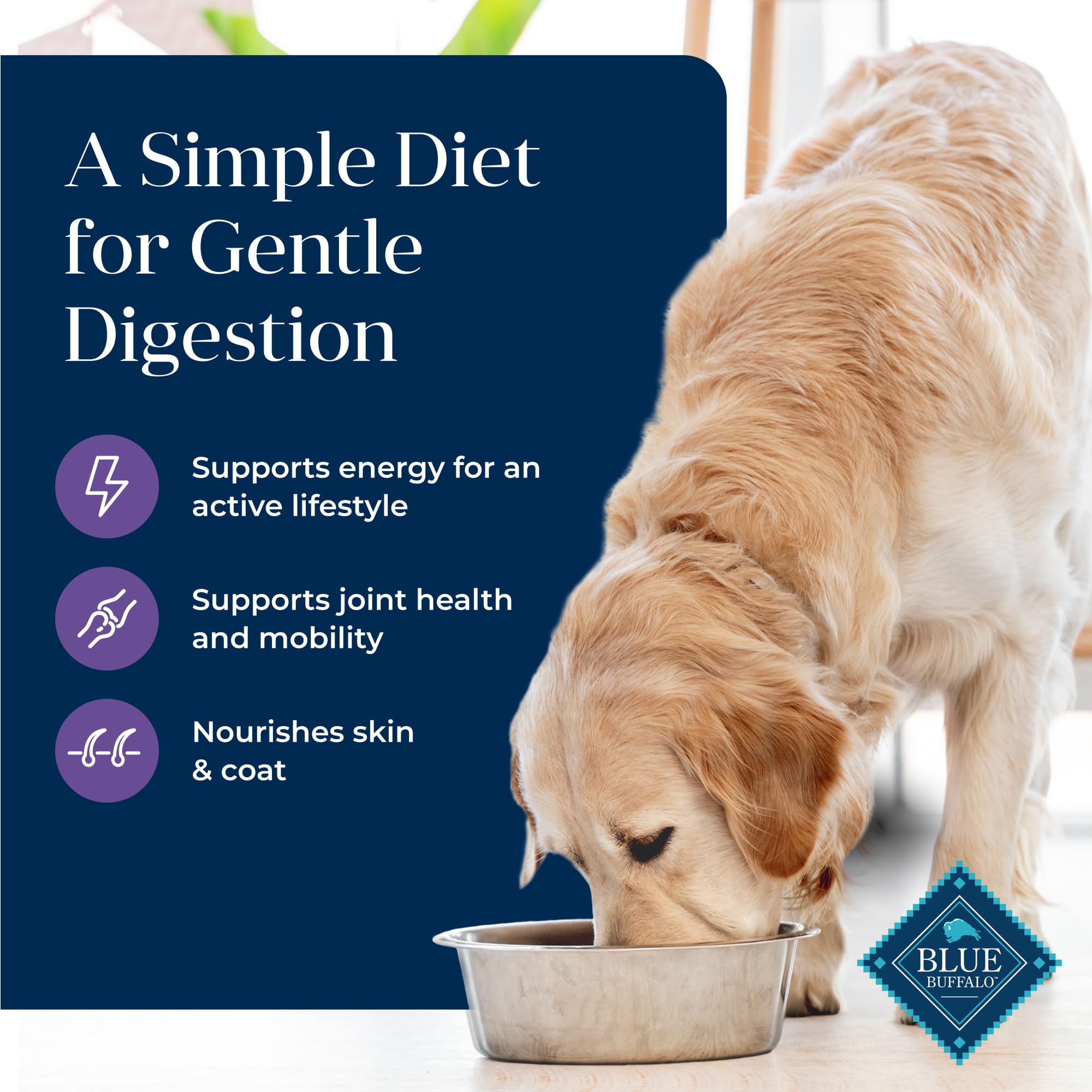 Blue Buffalo Basics Senior kibble with Glucosamine and Chondroitin for joints