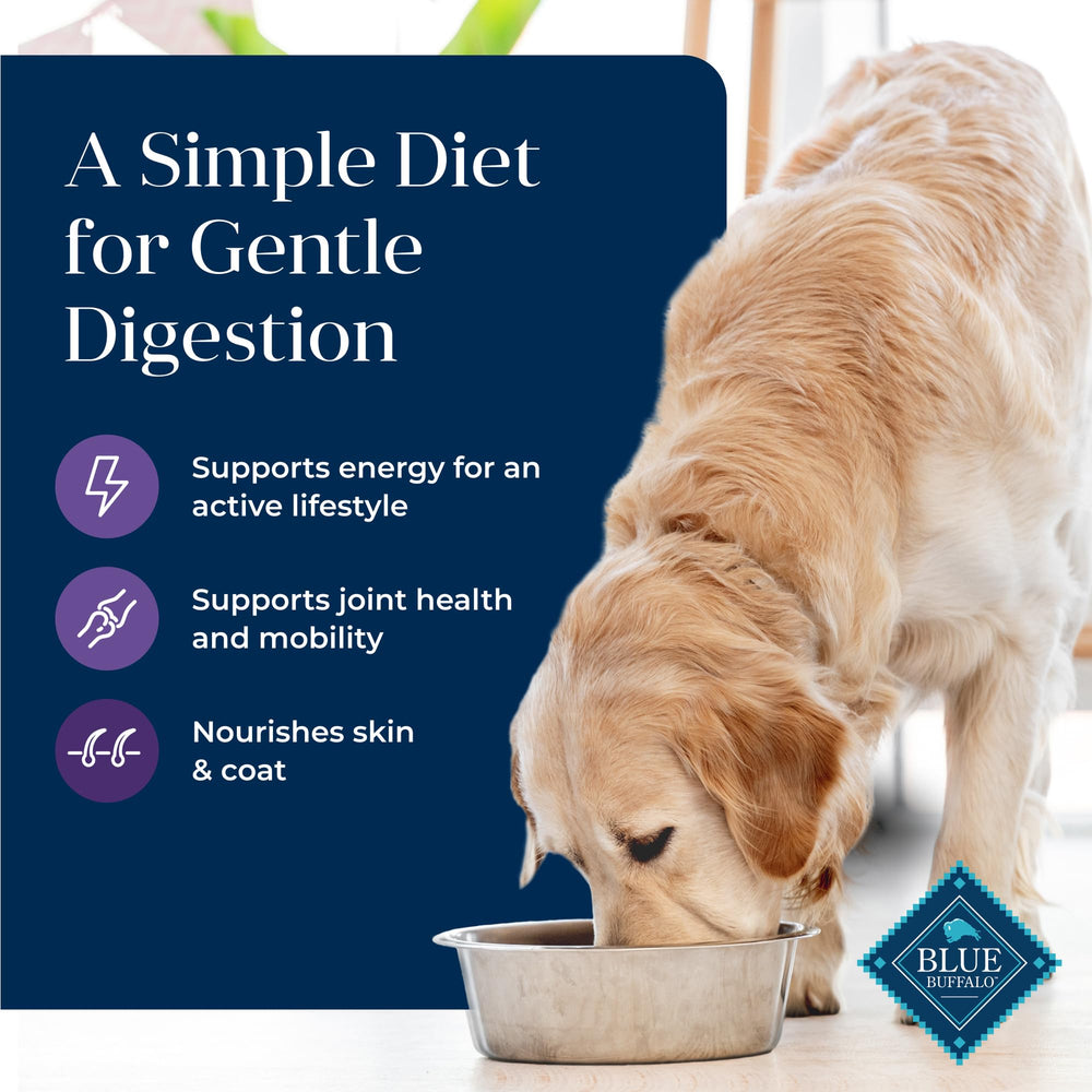 Senior dog enjoys a meal with Blue Buffalo Basics Senior dry food