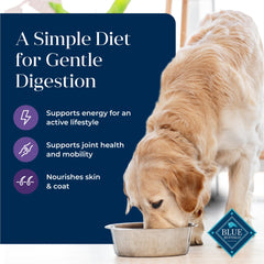 Senior dog enjoys a meal with Blue Buffalo Basics Senior dry food