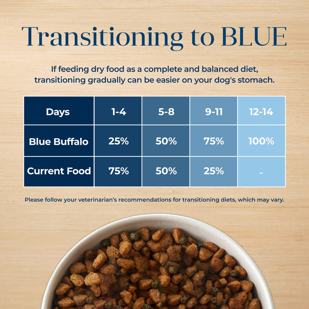 Close-up of shiny, healthy coat from balanced nutrition