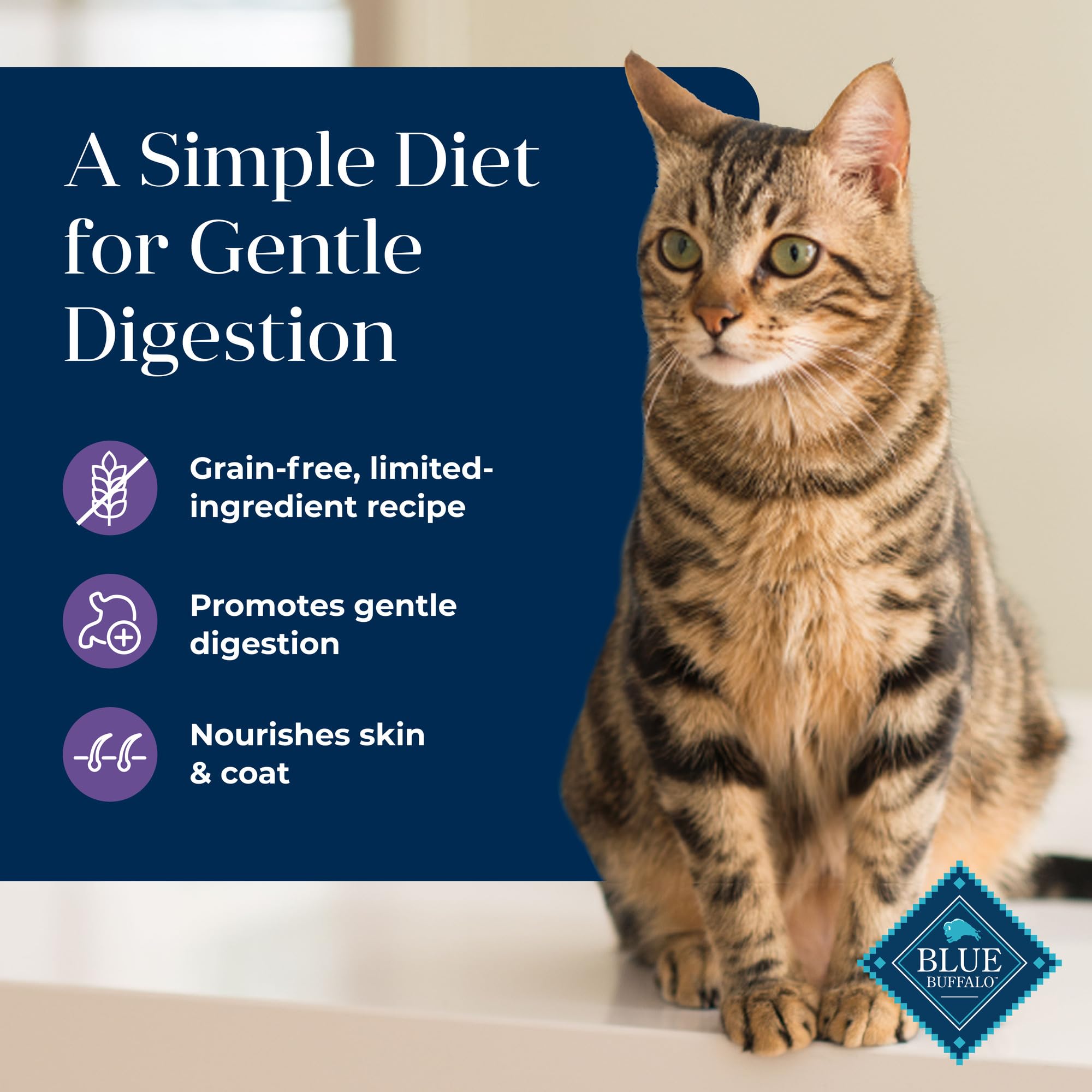 Blue Buffalo Basics skin and coat imagery shows omega fatty acids