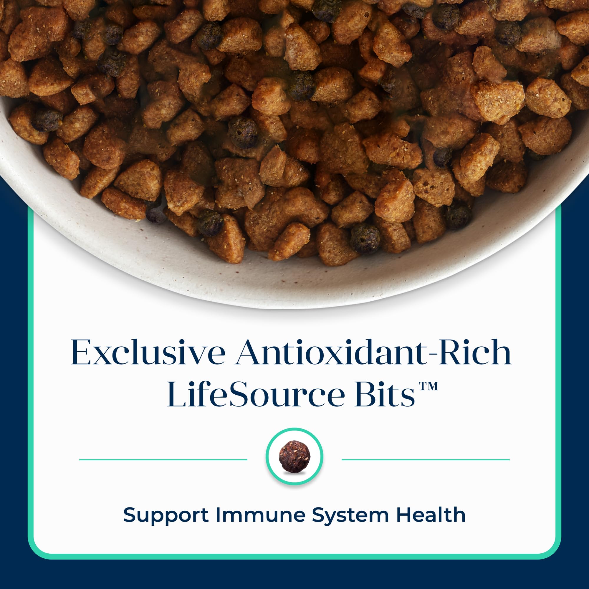 Blue Buffalo Basics 11-lb bag displayed for small-dog households