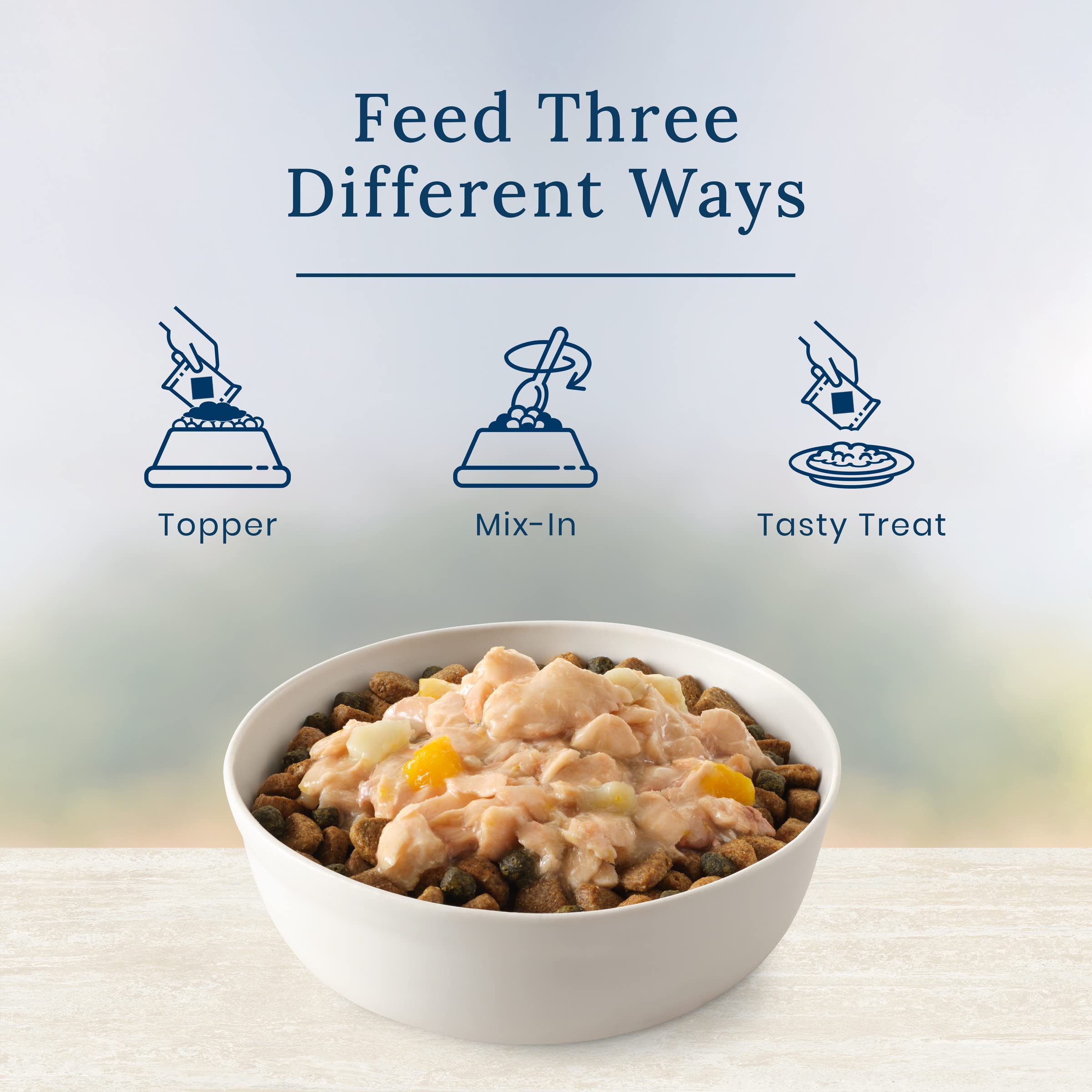 Blue Buffalo Basics 2.5oz pouch highlights convenient, portion-controlled feeding.