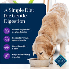 Blue Buffalo Basics Turkey & Potato kibble close-up designed for easy digestion