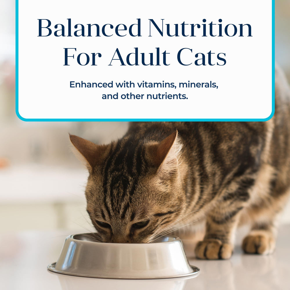 Blue Buffalo Basics 3-ounce can image for daily portions.