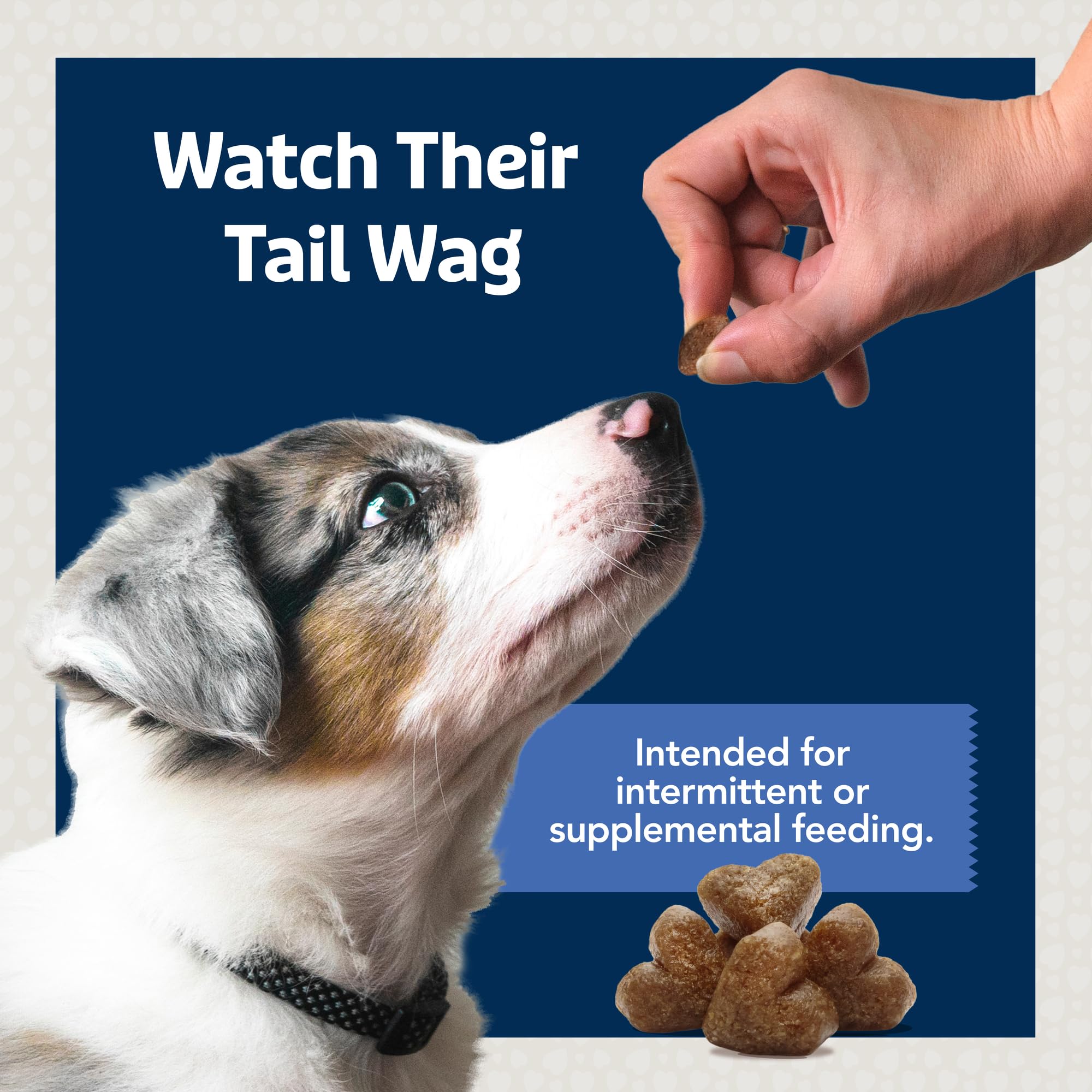 Blue Buffalo Bits come in a two-bag 19oz variety pack.