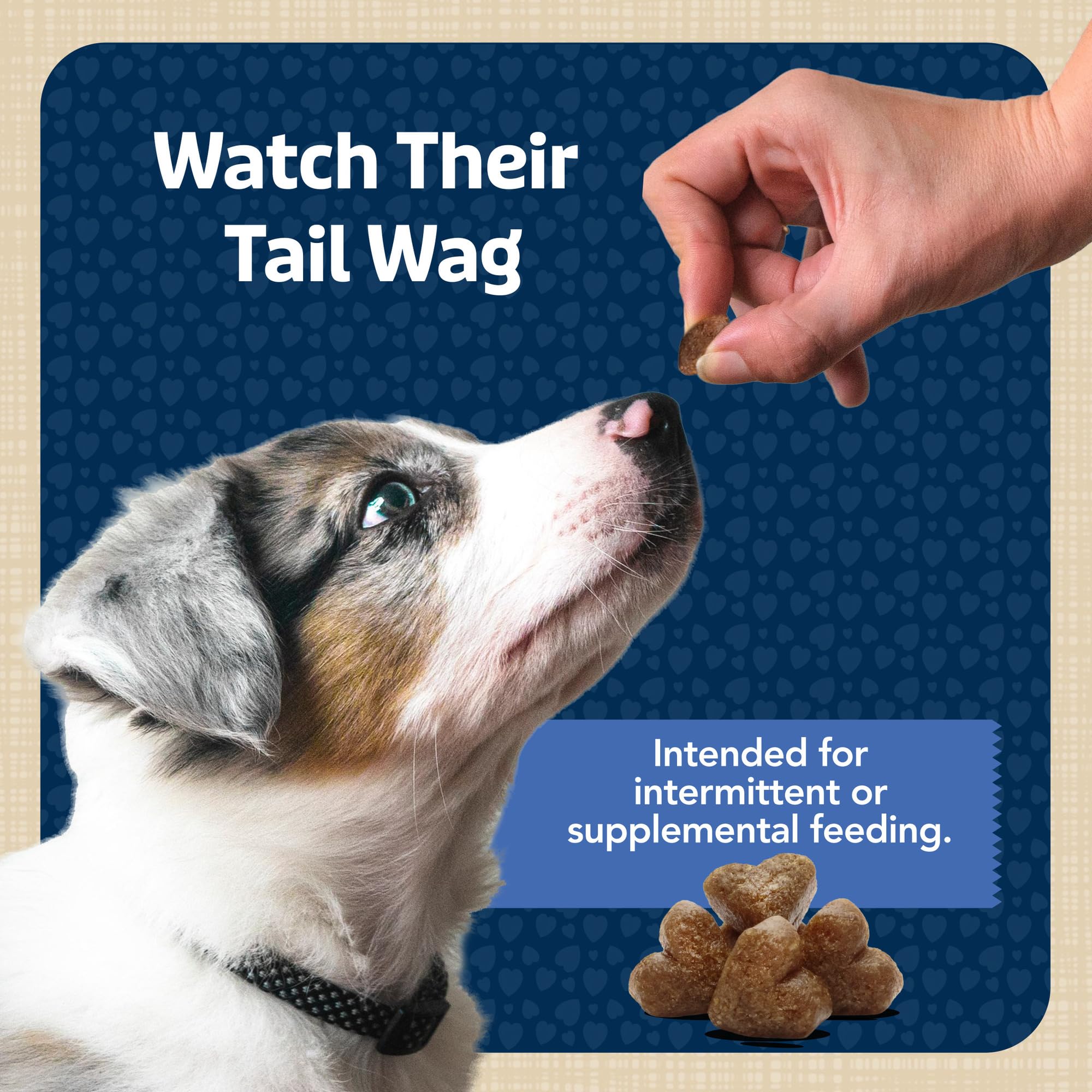 Blue Buffalo Bits marketed as America's number one training treat.