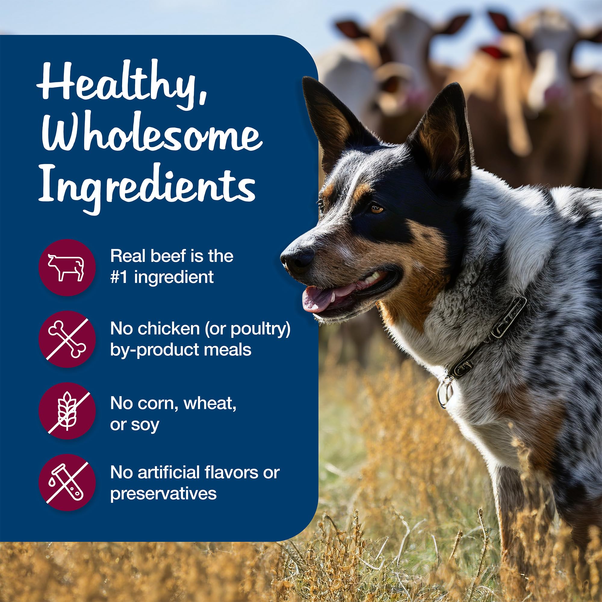 Blue Buffalo Blues Stew ready-to-serve serving bowl for dogs
