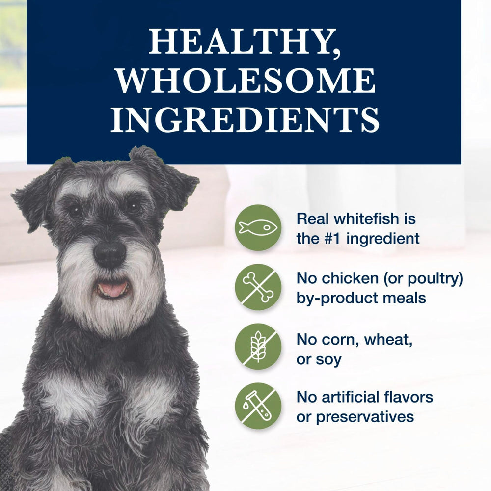 Blue Buffalo kibble in a daily bowl for easy feeding.