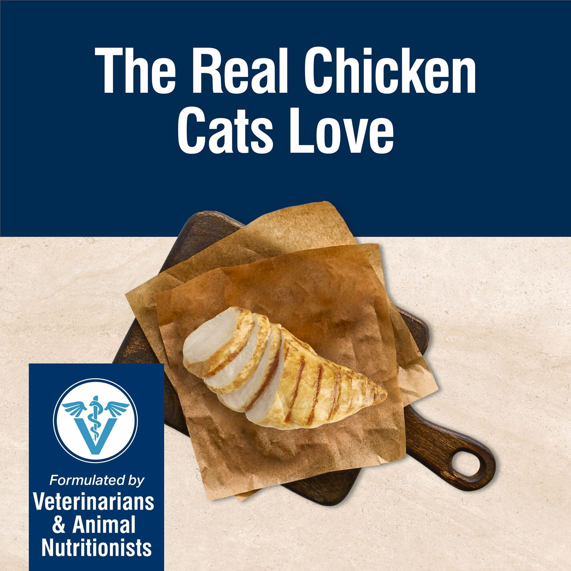 Blue Buffalo cat feeding bowl with kibble illustrates portions for balanced meals.