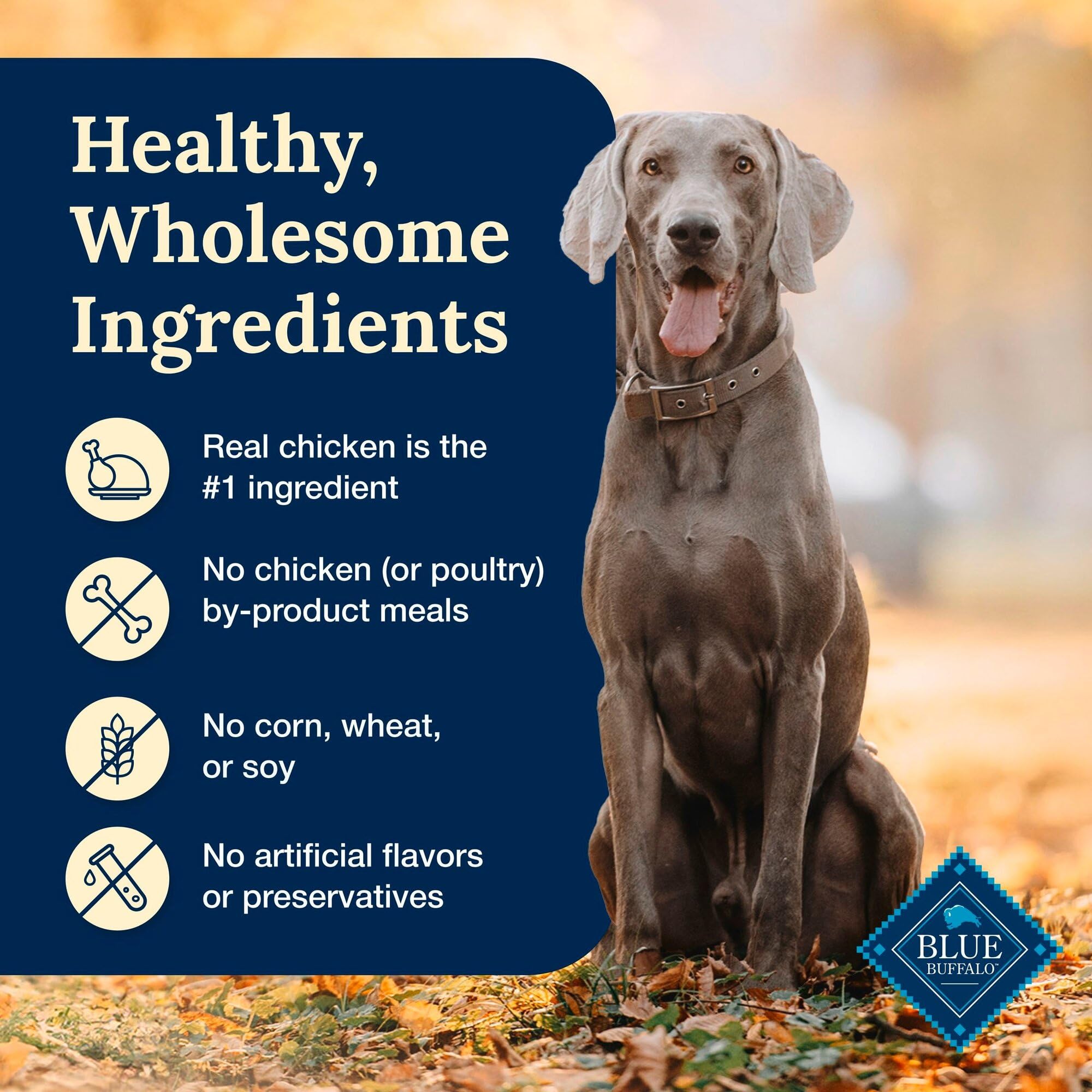 Blue Buffalo Delectables single-serve pouches offer easy portion control.