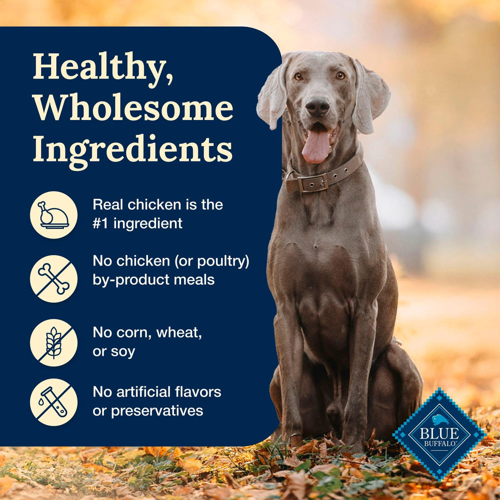 Blue Buffalo Delectables single-serve pouches offer easy portion control.