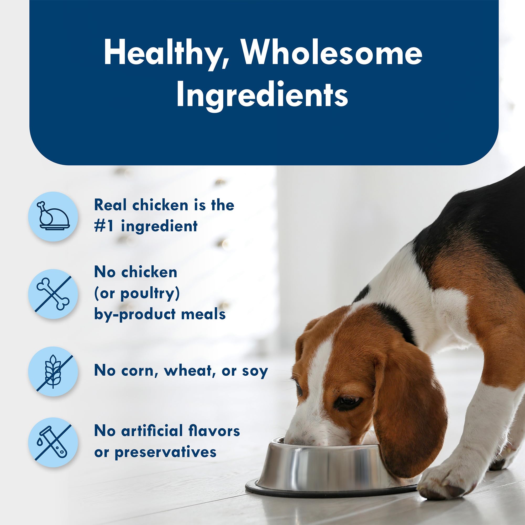 Blue Buffalo Delights small breed 12-count pack for steady meals