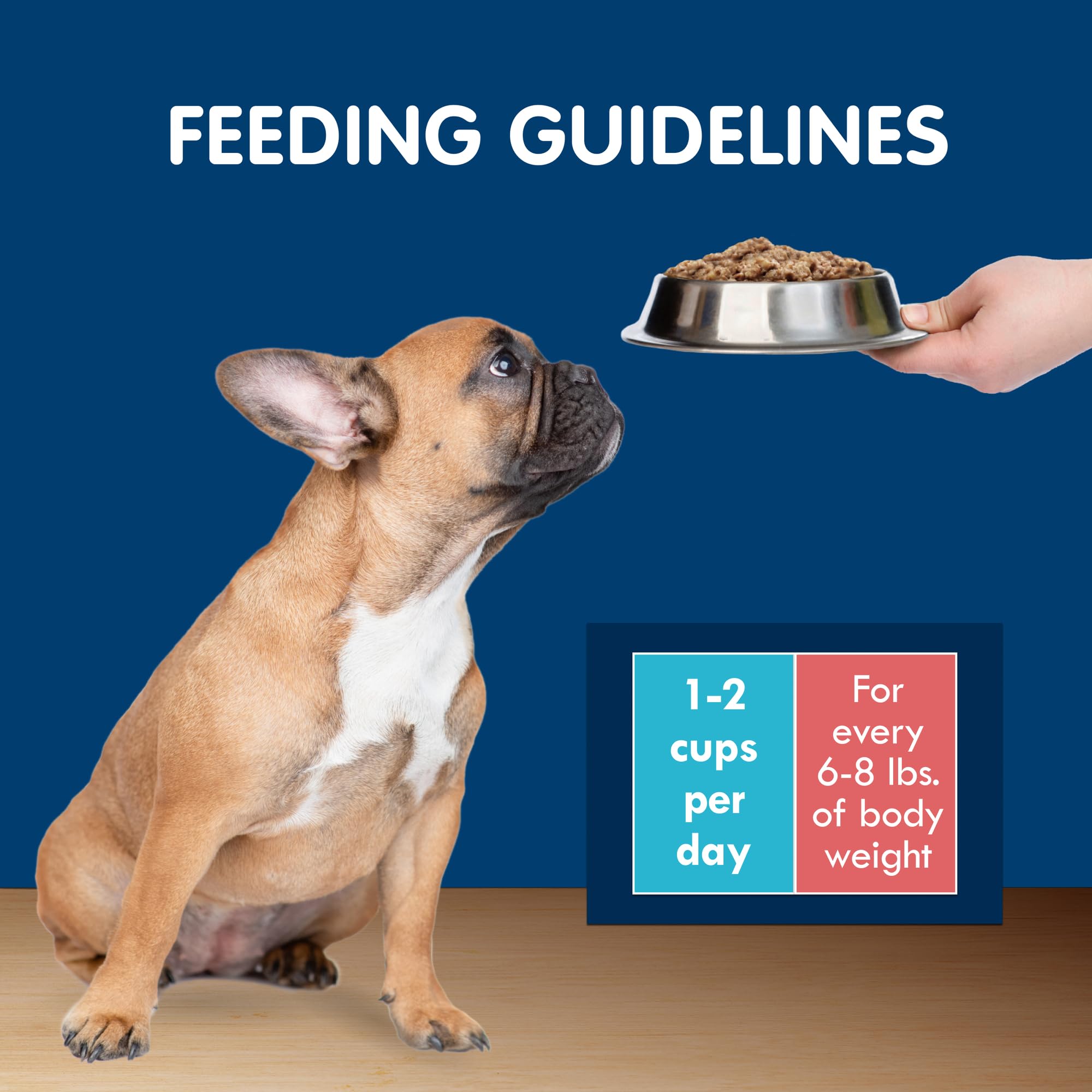 Blue Buffalo Delights three-flavor variety pack in a 24-count box for dogs.