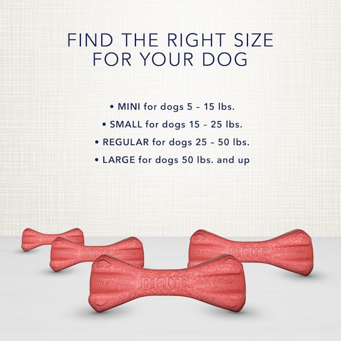 Blue Buffalo Dental Bones in bowl signals simple daily chew routine